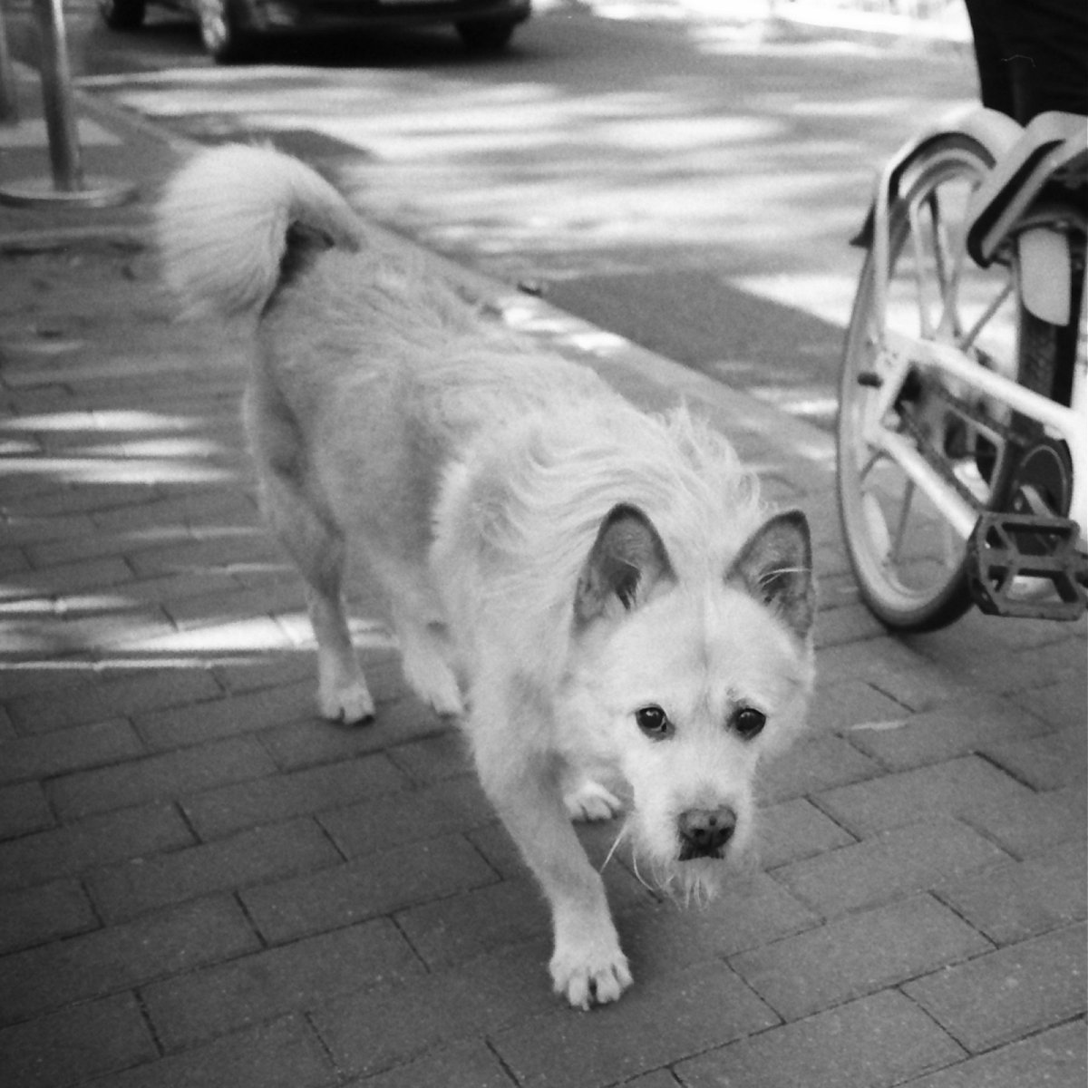 Nikon L35AD APX400 202010
